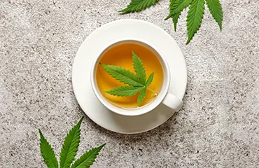 Les infusions au CBD